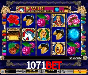 Descubra o Mundo do Cassino Online com 1071bet
